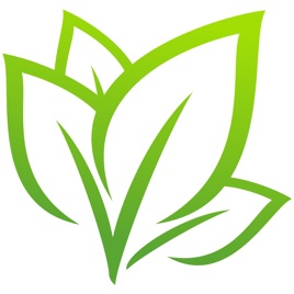 Life Church of the Nazarene