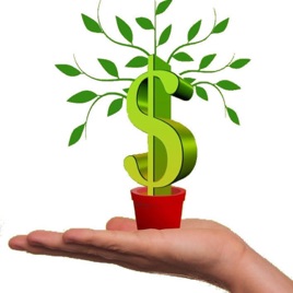 LifeorMoney Show