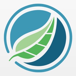 LifeSpring Messages