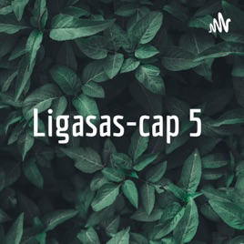 Ligasas-cap 5
