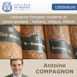 Littérature française moderne et contemporaine : Histoire, critique, théorie