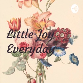 Little Joy Everyday