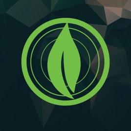 Live Life Church