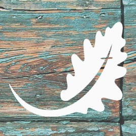 Live Oak Church of Johns Island