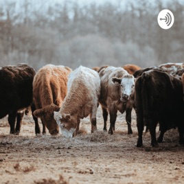 Livestock and it's advantages