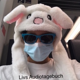 Livsaudiotagebuch