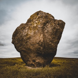 Living Under A Rock