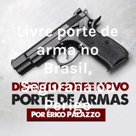 Livre porte de arma no Brasil, Segurança ou Perigo