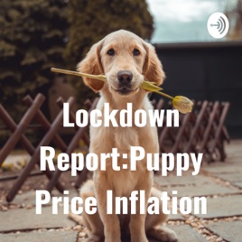 Lockdown Report:Puppy Price Inflation