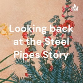 Looking back at the Steel Pipes Story