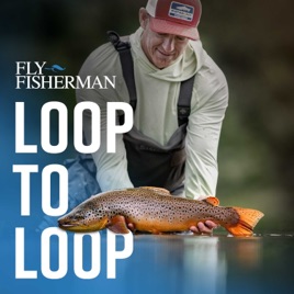 Loop to Loop