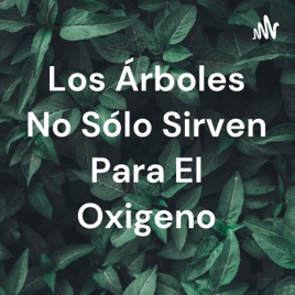 Los Árboles No Sólo Sirven Para El Oxigeno