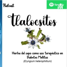 Los Tlaloczitos - Podcast