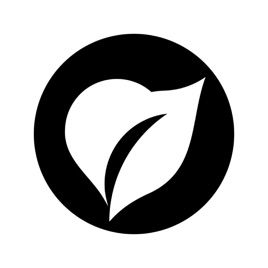 Love Life Church