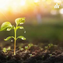 Más Acciones Ecológicas Menos Contaminación
