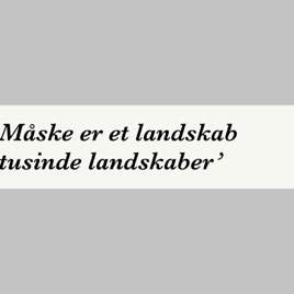 Måske er et landskab tusinde landskaber