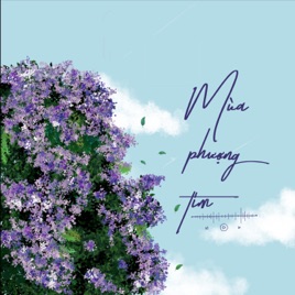 Mùa Phượng Tím