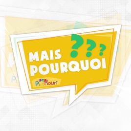 Mais Pourquoi ?