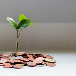Make Money With Akshat