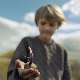 Man kan ikke skynde på en spire