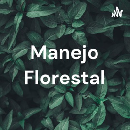 Manejo Florestal