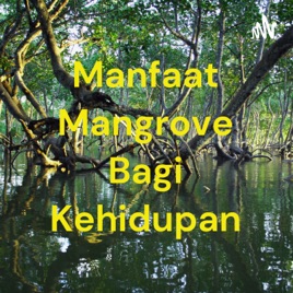 Manfaat Mangrove Bagi Kehidupan