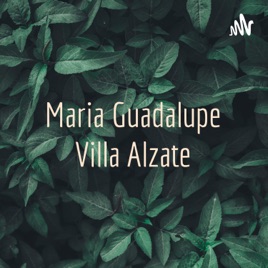 Maria Guadalupe Villa Alzate