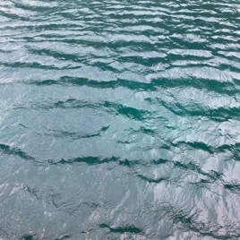 Mariculture Minute