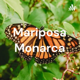 Mariposa Monarca