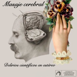 Masaje Cerebral