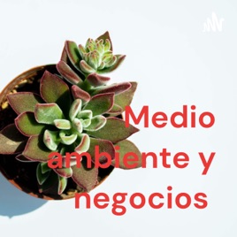 Medio ambiente y negocios