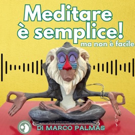 Meditare è semplice! Ma non è facile.