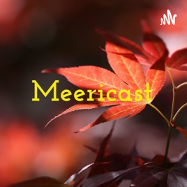 🐹Meericast🐹