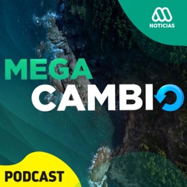Mega Cambio