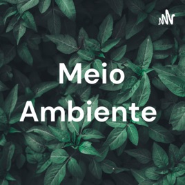Meio Ambiente