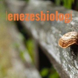 Menezesbiologia
