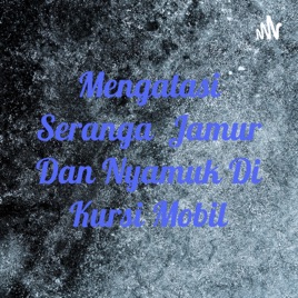 Mengatasi Seranga Jamur Dan Nyamuk Di Kursi Mobil