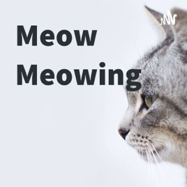 Meow Meowing