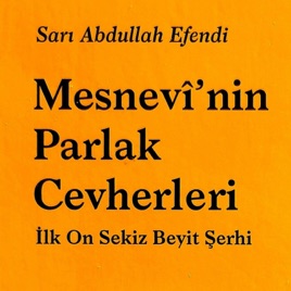 Mesnevi'nin Parlak Cevherleri