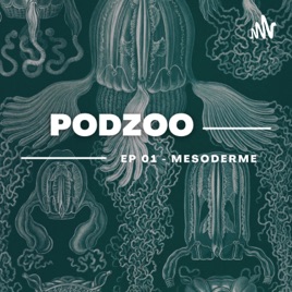 Metazoa