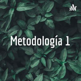 Metodología 1