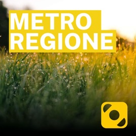 Metroregione