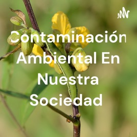 Contaminación Ambiental En Nuestra Sociedad