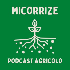 Micorrize