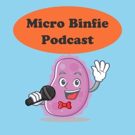 Micro binfie podcast