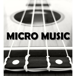 Micro Music