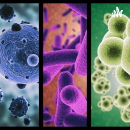 Microbiología