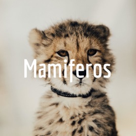Mamiferos
