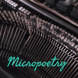 Micropoetry +  Curatorial Monologues