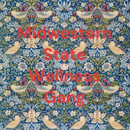 Midwestern State Wellness Gang